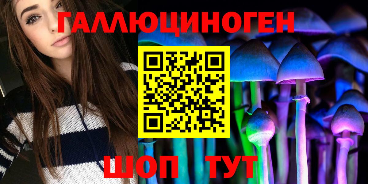Псилоцибиновые грибы Psilocybe Соликамск