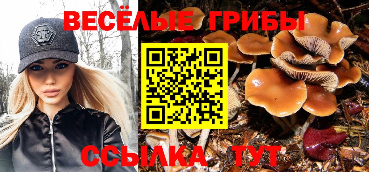 Галлюциногенные грибы GOLDEN TEACHER  Вход с VPN  Псилоцибиновые грибы мухоморы  Соликамск 